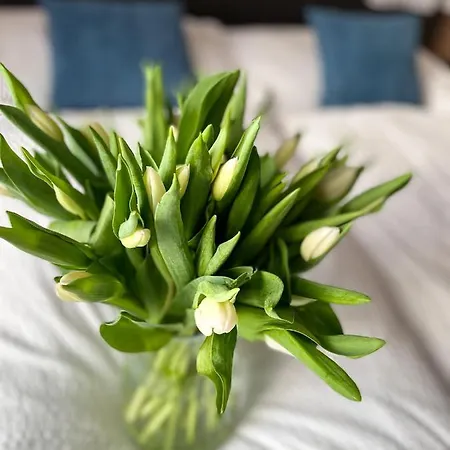 Golyafeszek Vendeghaz Oda ve Kahvaltı 3*